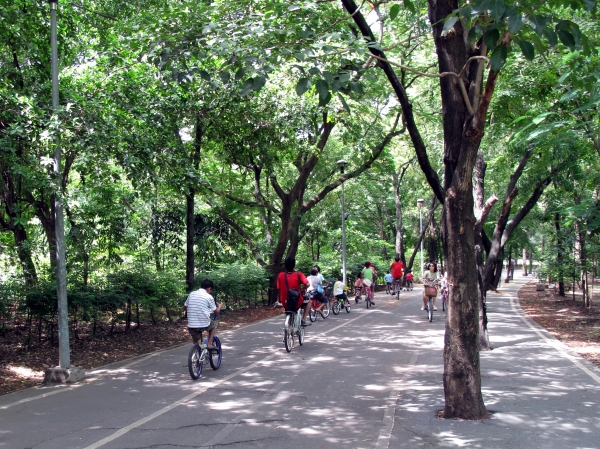 Bikes in the park