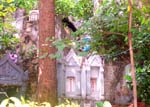 Graves