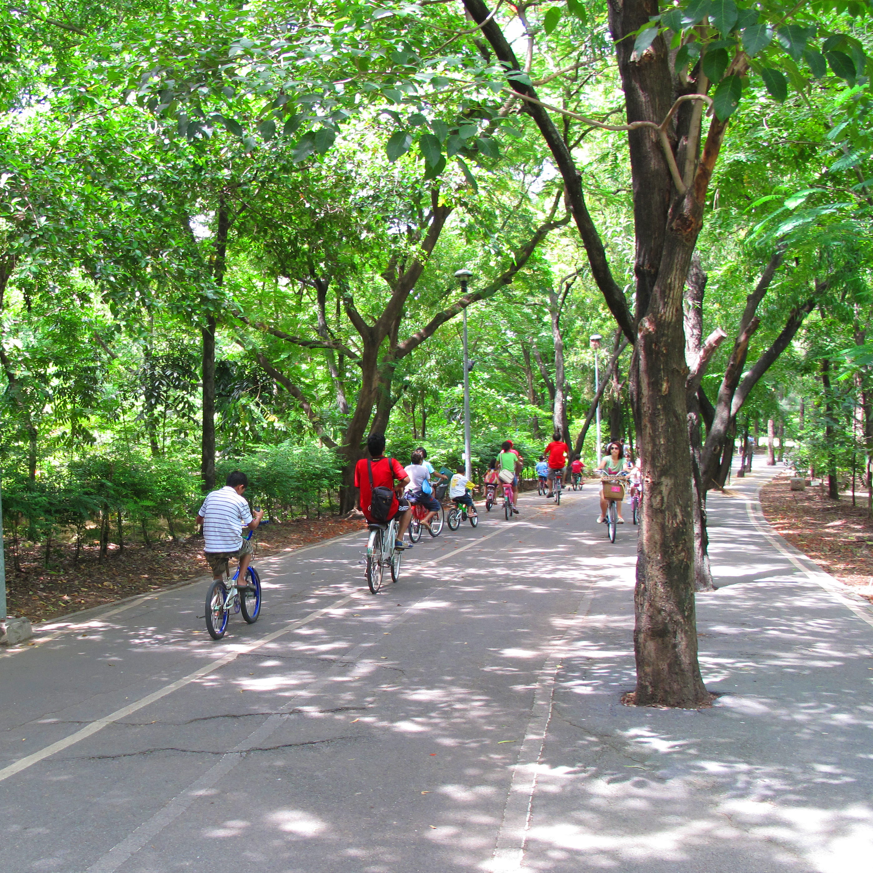 Bikes in the park